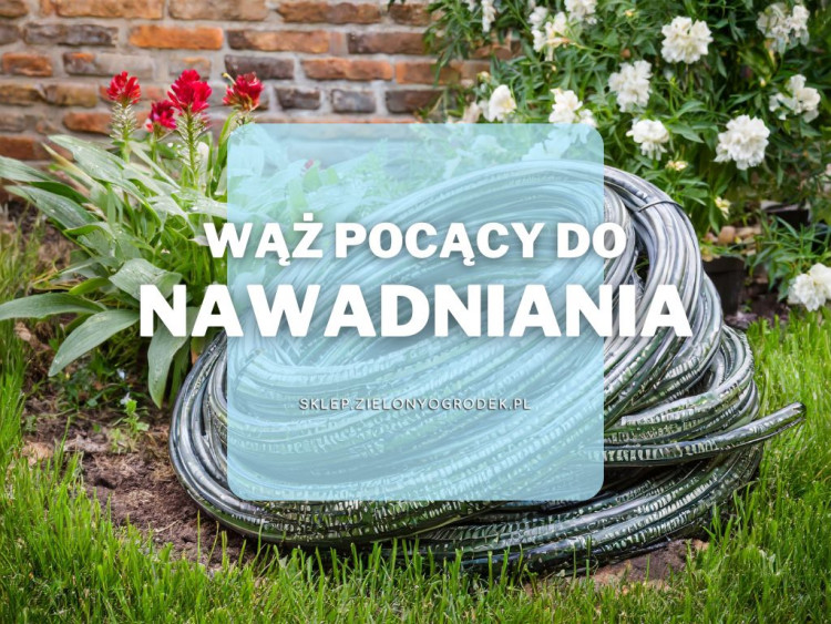 Podlewanie kropelkowe z wężem pocącym Jak działa i dlaczego warto go