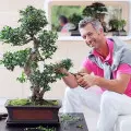 Bonsai to żyjące dzieło sztuki | Co warto o nim wiedzieć?