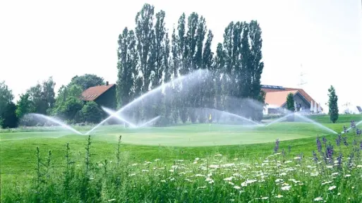 Bez konewki i węża: automatyczne systemy podlewania