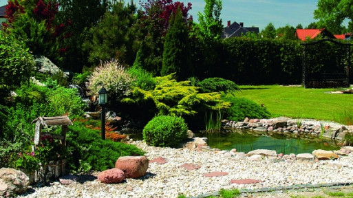 Folia, kauczuk, mata bentonitowa, glina, beton | Czym najlepiej uszczelnić oczko wodne?