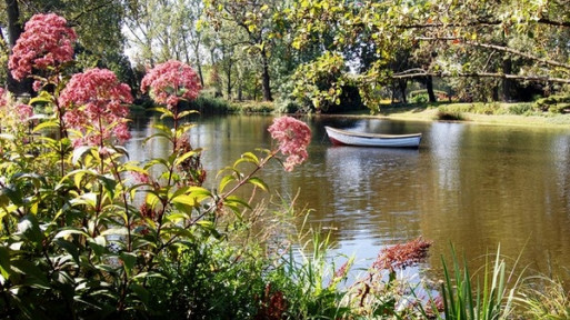 Ogród Botaniczny UMCS w Lublinie