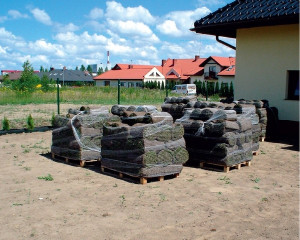 Przywiezione rolki trawy najlepiej od razu rozłożyć na przygotowanym podłożu