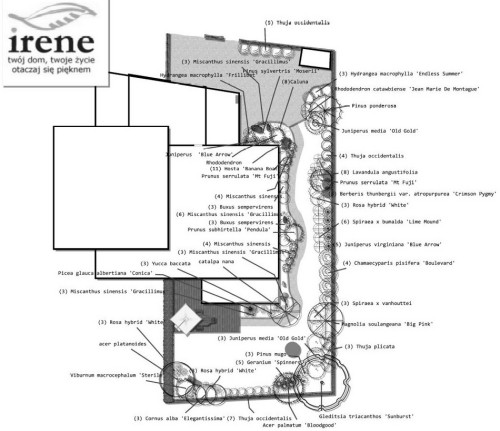 Projekt ogrodu (projekt IRENE)