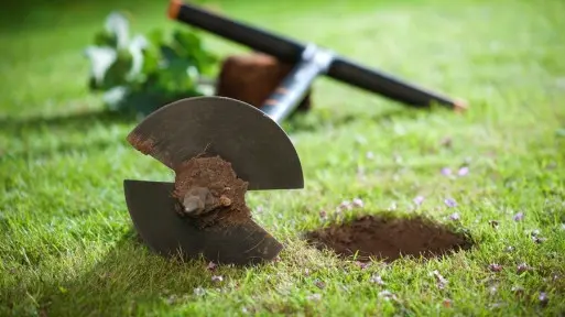 Świder do sadzenia roślin / otwornica do ziemi. Jakie wybrać? Jakie mają zalety?