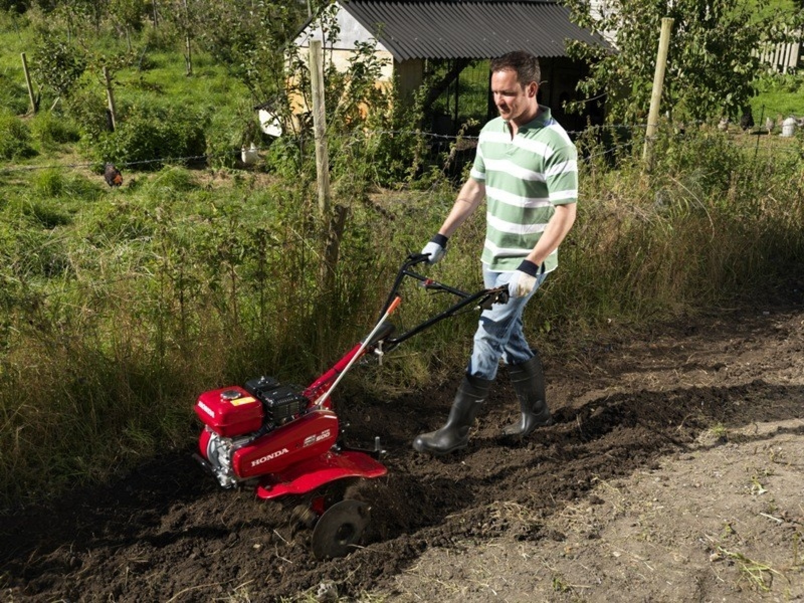 Jesienią zadbaj o glebę w ogrodzie – oto 5 ważnych zadań przed zimą
