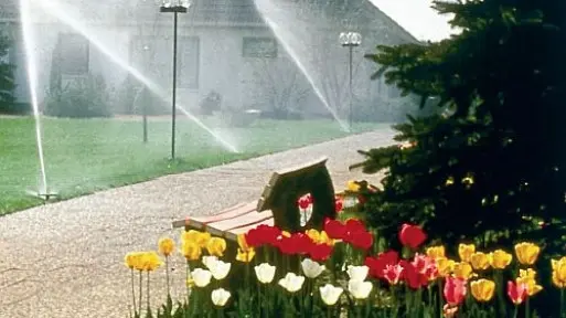 System bezobsługowego podlewania: czy warto kupić?