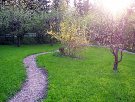 Ogród po zmianach (fot. Zadbane Ogrody)