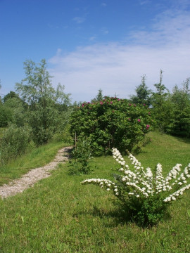 Ogród wiejski po zmianach (fot. Zadbane Ogrody)