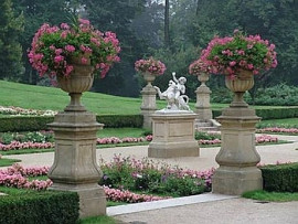 Romantyczny ogród włoski ozdabiają stare rzeźby. Na postumentach kamienne donice, a w nich kwitnące pelargonie bluszczolistne (Pelargonium x hederifolium), fot. www.zamek-lancut.pl