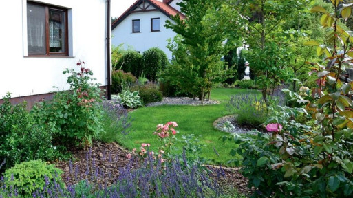 Piękny ogród na podmokłym gruncie | Reportaż ogrodowy