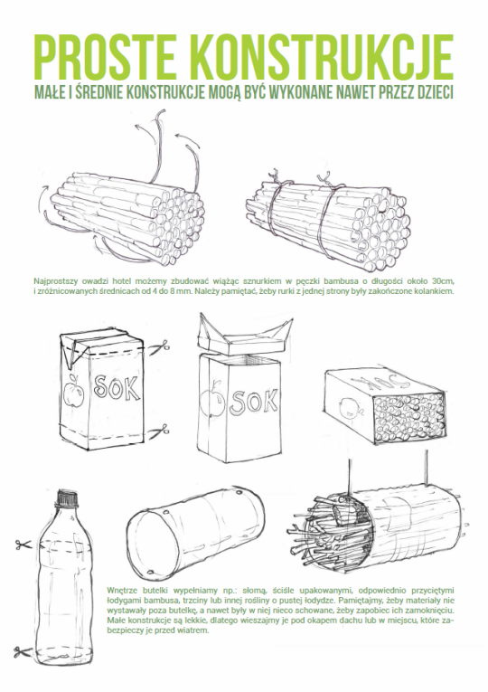 hotel dla owadów projekt rys. Greenpeace
