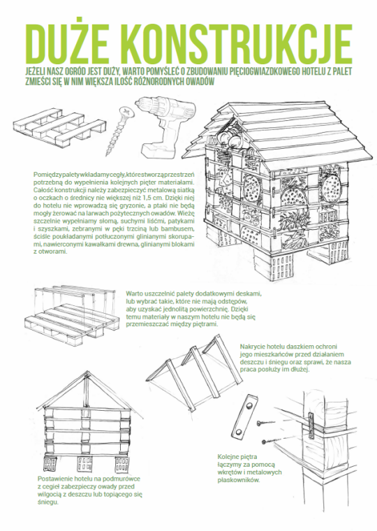 hotel dla owadów projekt rys. Greenpeace
