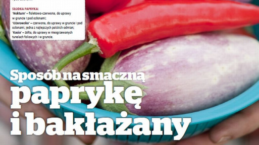 Sposób na smaczną paprykę i bakłażany