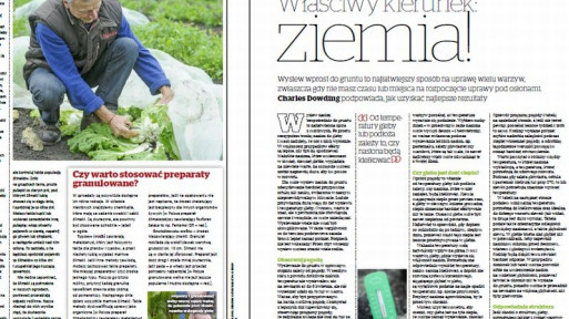 Uprawy organiczne: Właściwy kierunek - ziemia