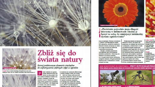 Zoom na naturę - zdjęcia makro kwiatów