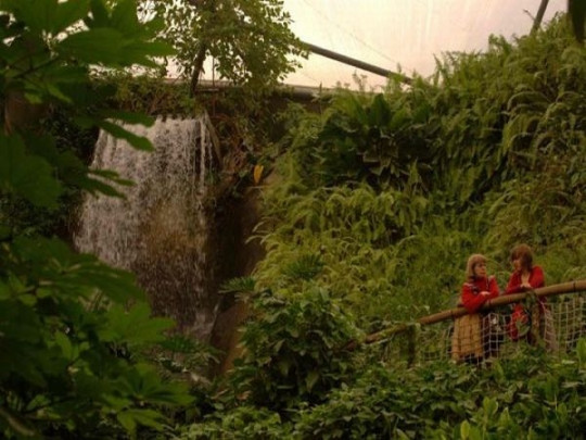 Ścieżki w biomie suchym tropikalnym (zdjęcie z lewej), fot. Eden Project. Liczne wodospady utrzymują wilgotność powietrza w biomie tropikalnym wilgotnym na poziomie 90% w dzień i 60% w nocy (zdjęcie z prawej) fot. Eden Project.