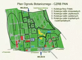 Plan Ogrodu Botanicznego PAN w Powsinie, źródło: www.ogrod-powsin.pl