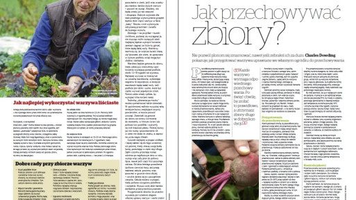 Uprawy organiczne: Jak przechowywać zbiory?