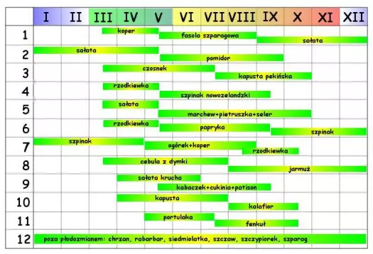 Plodozmian_1