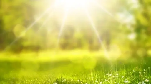 Warzywa i owoce dobre na upały: arbuz i pomidor | Odkryj naturalne sposoby na ochłodę w upalne dni!