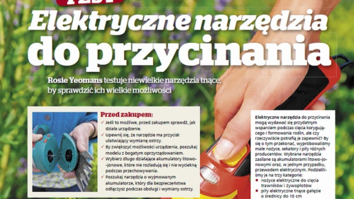 Test: Elektryczne narzędzia do przycinania