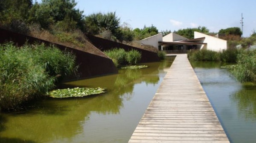 Ogród botaniczny w Barcelonie (JBB)