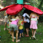 Dla przedszkolaków została nawet wyznaczona odrębna ścieżka dydaktyczna po Ogrodzie Botanicznym. Na zdjęciu zajęcia edukacyjne dla dzieci, fot. Ł. Degórski