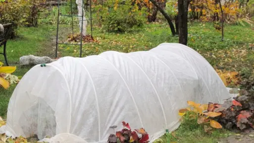 Bezpieczny ogród w czasie zimy | O tym nie możesz zapomnieć!