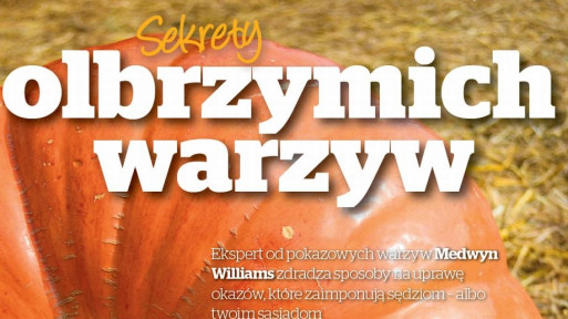 Sekrety uprawy olbrzymich warzyw