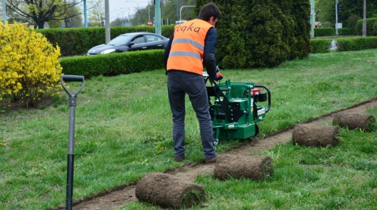 zakładanie łąki kwietnej w Warszawie fot. Zarząd Oczyszczania Miasta