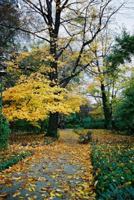 Ogród Botaniczny Uniwersytetu Wrocławskiego