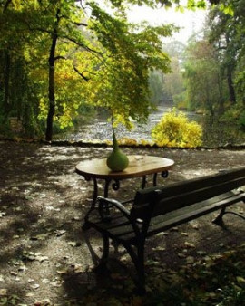 Ogród Botaniczny Uniwersytetu Wrocławskiego