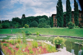 Ogród Botaniczny Uniwersytetu Wrocławskiego