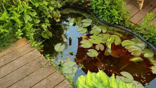 Wiosenna pielęgnacja ogrodu | 2 najważniejsze zabiegi na początek sezonu