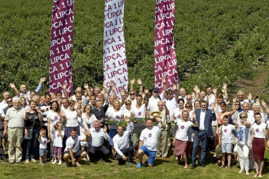 1 lipca - Dzień Polskiej Borówki 2016