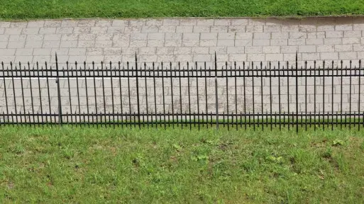 Rośliny kwitnące do dekoracji ogrodzenia