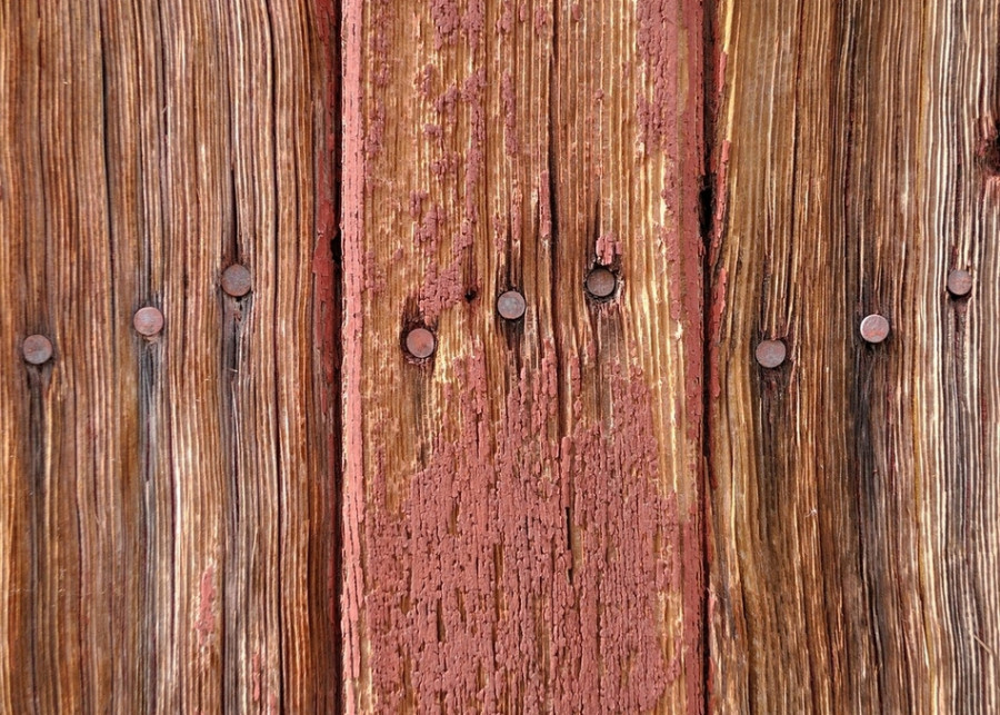 Dlaczego drewno ogrodowe niszczeje, fot. skeeze - Pixabay