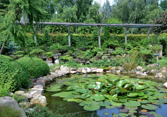 Ogród wśród 400 drzewek bonsai | Reportaż ogrodowy
