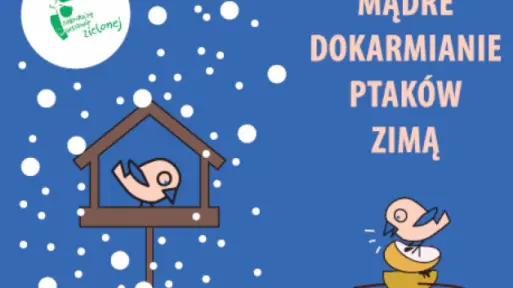 Chcesz pomóc ptakom przetrwać zimę? Sprawdź, jak je karmić i nie szkodzić