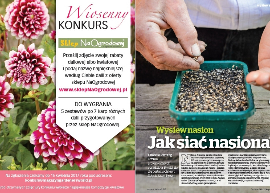 Krok po kroku Jak siać nasiona? Gardeners` World Polska Zielony Ogródek