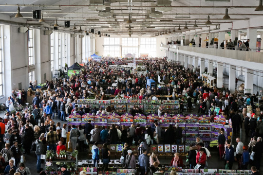 GARDENIA 2017 Podsumowanie targów ogrodniczych