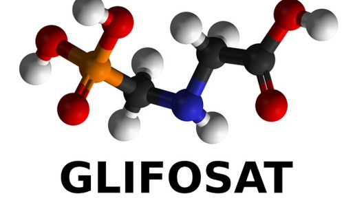 Najnowsze badania: Glifosat nie jest rakotwórczy