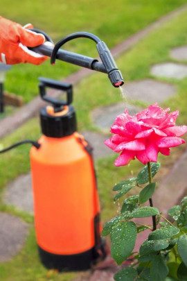 chemiczna ochrona roślin fot. NinaMalyna - Fotolia.com