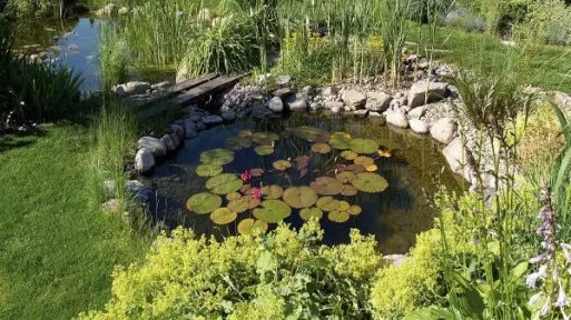 Ogród zgodnie z zasadami feng-shui | Reportaż ogrodowy