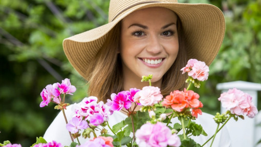 Pięknie kwitnące pelargonie przez cały sezon? Przestrzegaj 2 wskazówek!