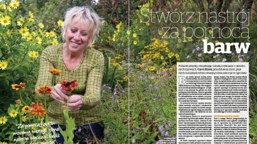 Carol: Stwórz nastrój za pomocą barw