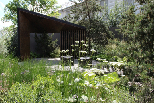 Royal Bank of Canada Garden - Chelsea Flower Show 2017 - fot. Łukasz Skop