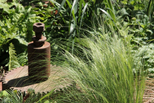 Walker&#96;s Wharf Garden - Chelsea Flower Show 2017 - fot. Łukasz Skop