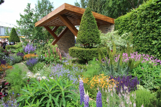 The Morgan Stanley Garden - Chelsea Flower Show 2017 - fot. Łukasz Skop