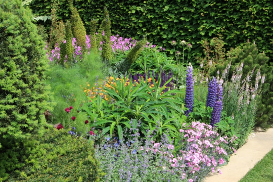 The Morgan Stanley Garden - Chelsea Flower Show 2017 - fot. Łukasz Skop